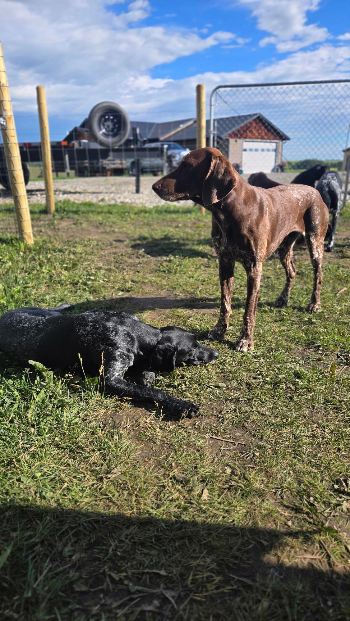 Full Day Daycare