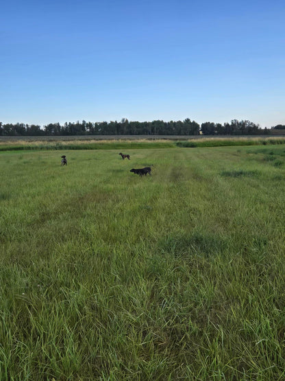Bird Dog Training Grounds Rental – Hourly · Half Day · Full Day