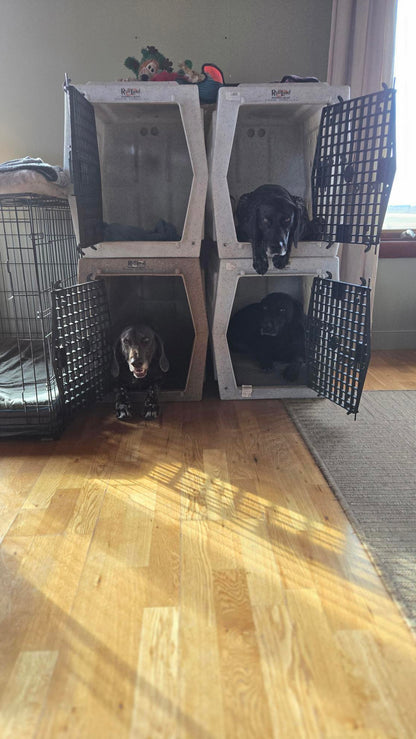 Family Dog Training Programs Overview