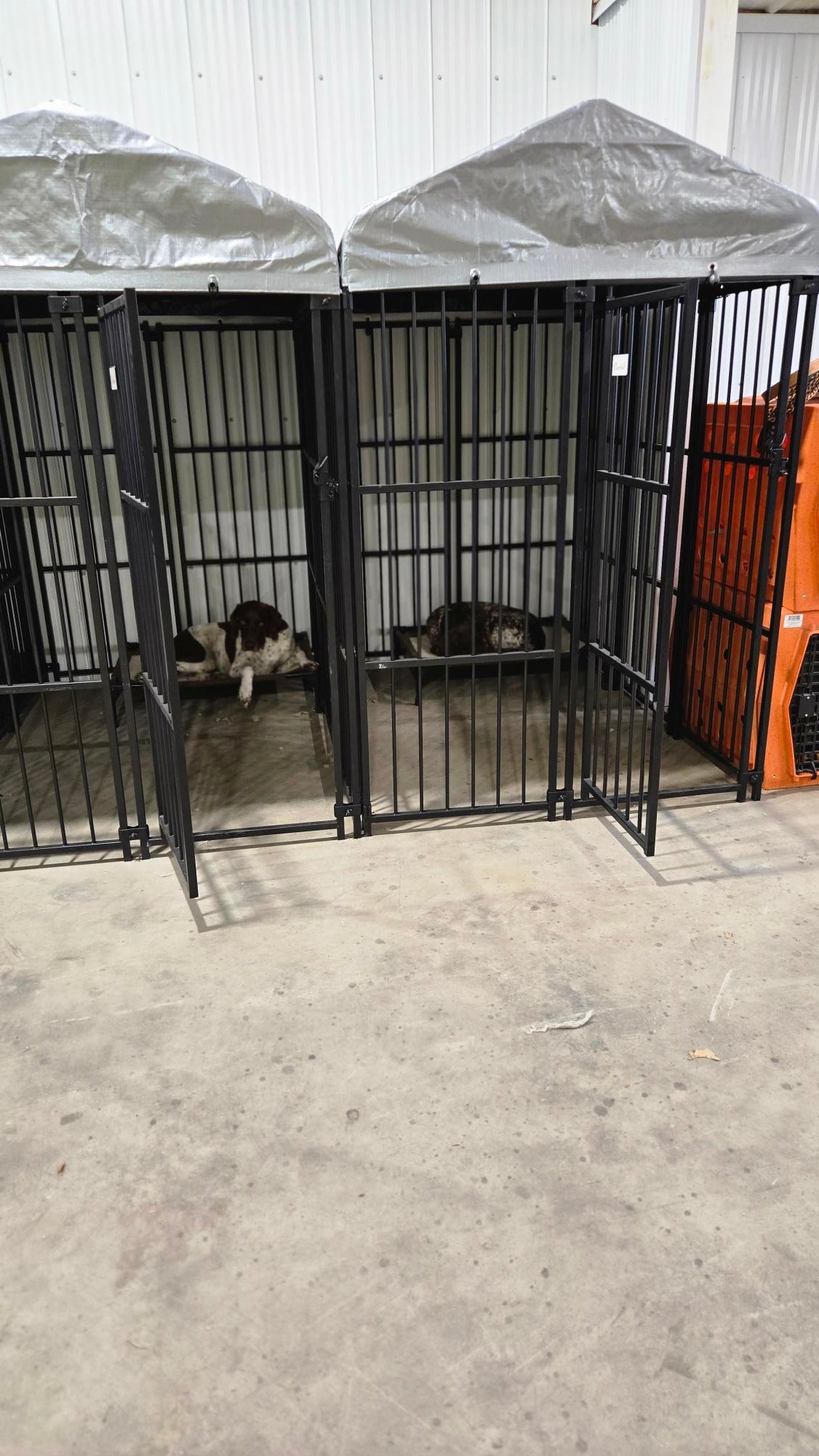 Overnight Dog Boarding