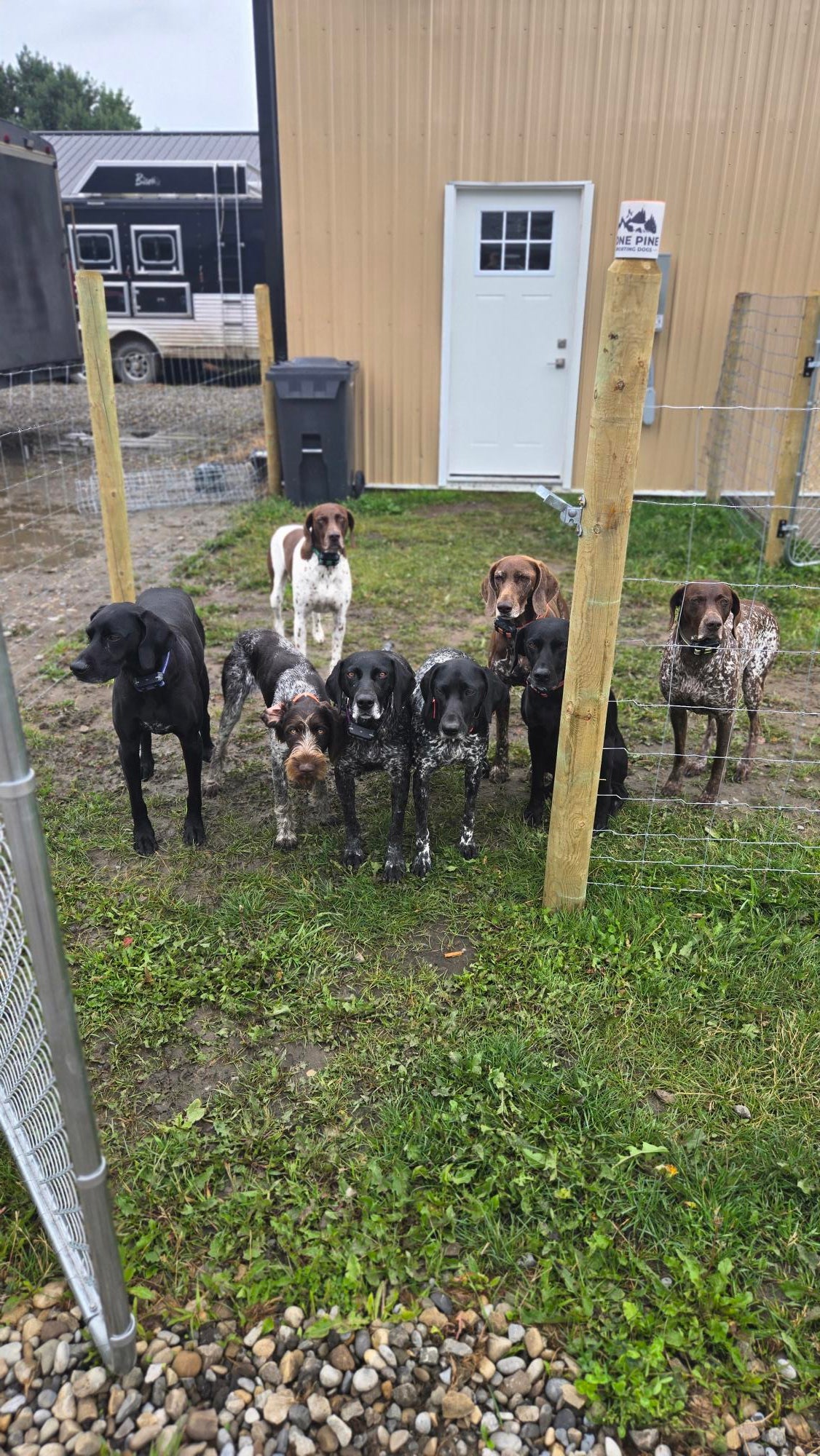 Full Day Daycare