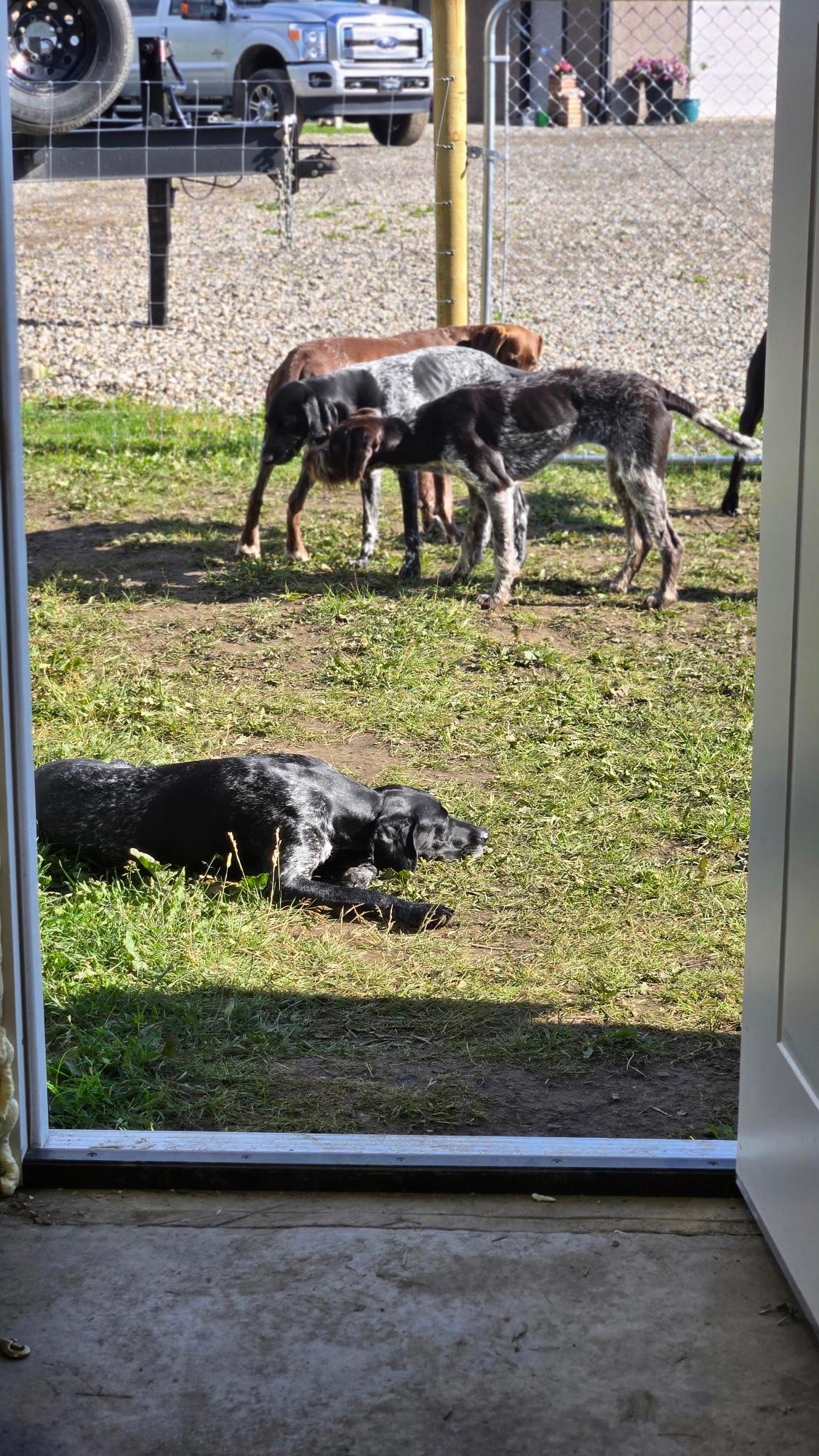 Full Day Daycare