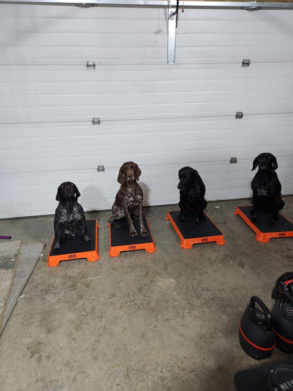 Lone Pine Sporting Dogs - Dog Boarding and Training near Calgary, Alberta