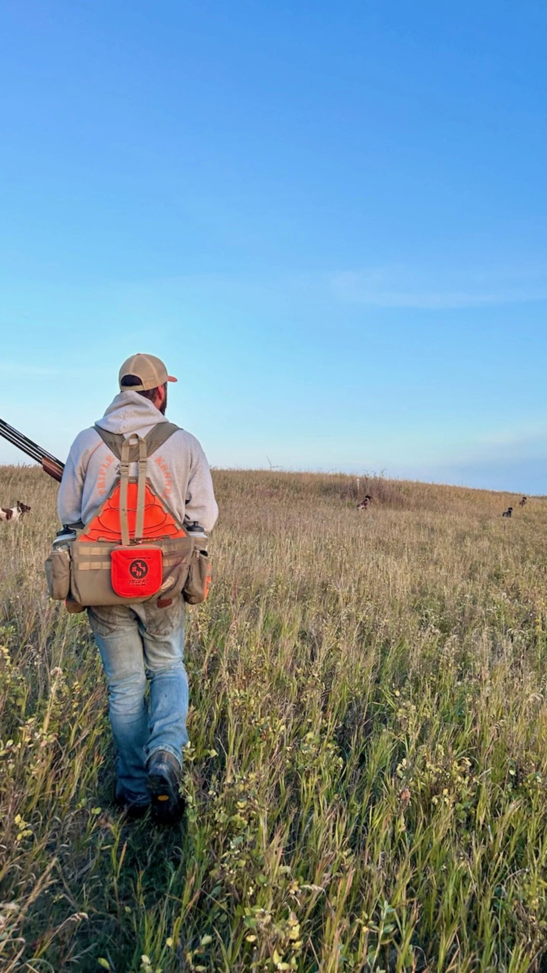 Half-Day Upland Bird Dog Training Ground Rental