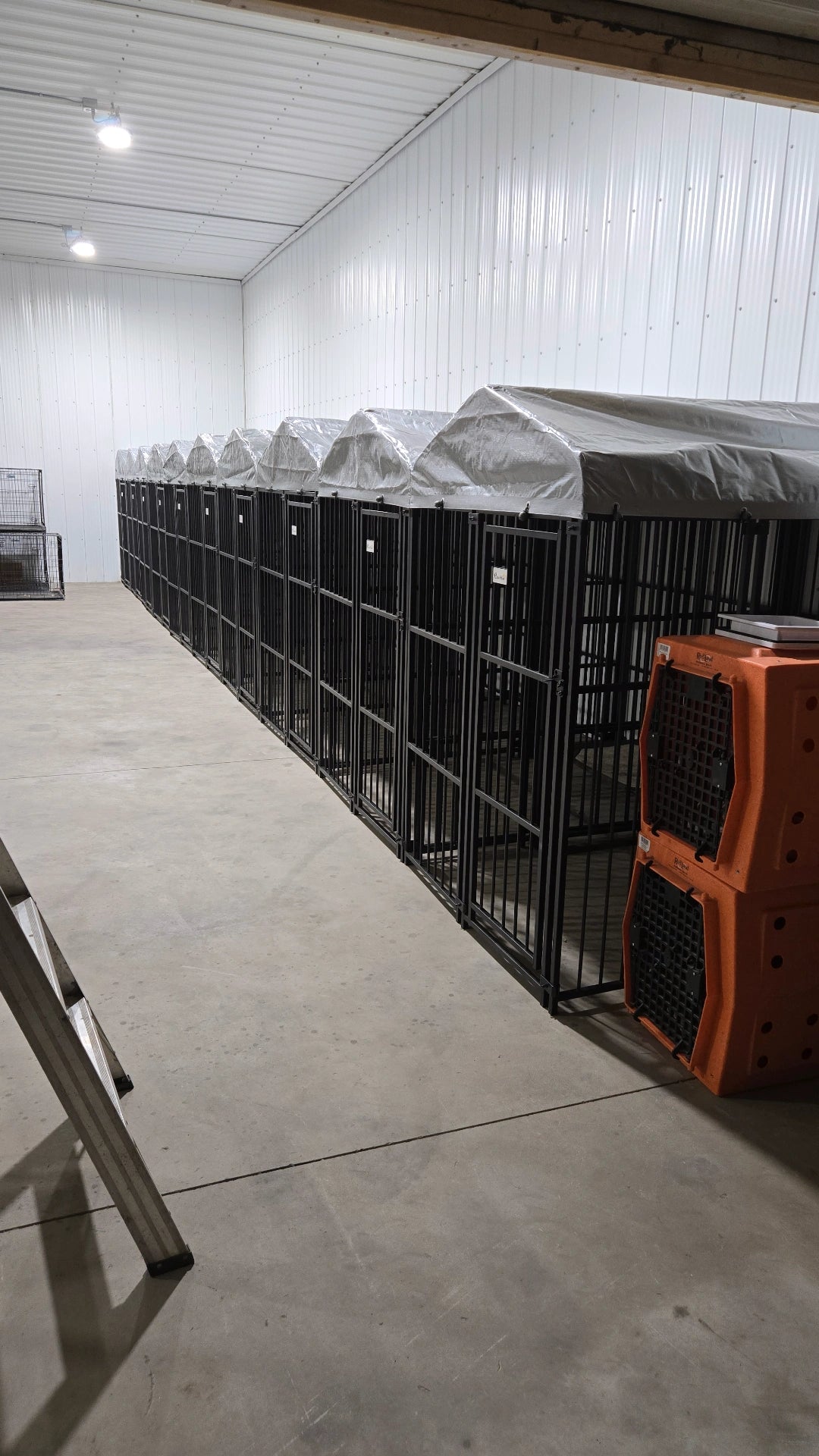 Overnight Dog Boarding